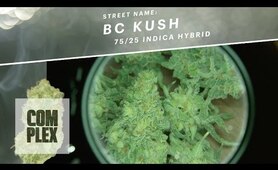 Motor City High: BC Kush Marijuana Strain | Ep 6 On Complex