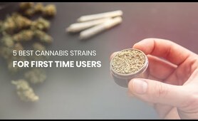 5 Recommended Cannabis Strains for First Time Users